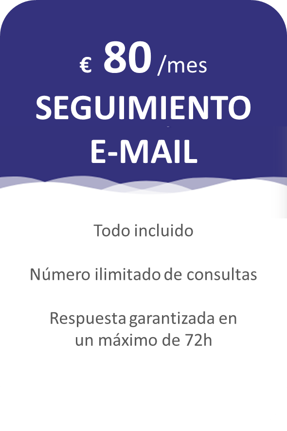 SEGUIMIENTO POR EMAIL