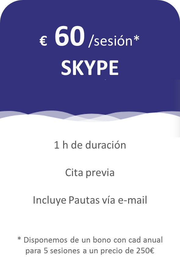 SEGUIMIENTO POR SKYPE